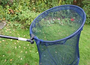 My landing net - a specially adapted keepnet