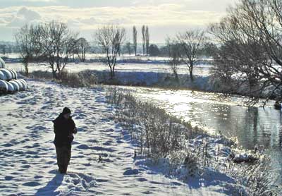 Miles of deserted bank