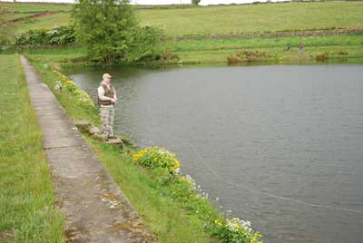 Barney on the dam