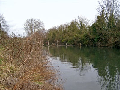 The lock cutting, home to fish that just weren`t hungry