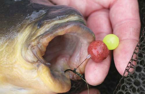 Artificial bait presentation