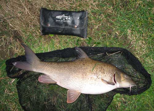 Fat barbel