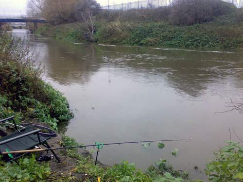  A high and coloured River Don