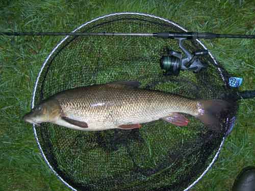 Why the Don is well worth a try. My Don PB at just under 10lb caught in appalling conditions