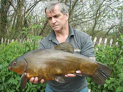 Chris Babbage with a 10lb 3oz male tench