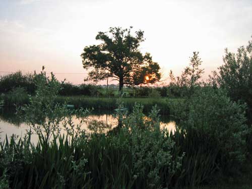 Sunrise on Marsh Farm