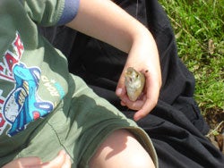 Kierans first fish