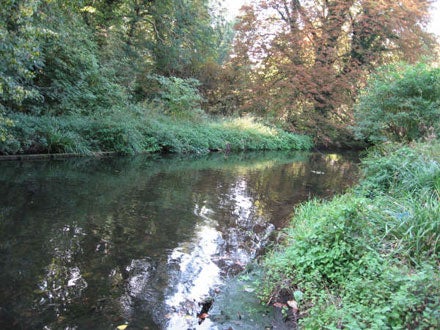 River Wandle