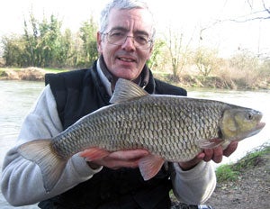 Float caught 6.3 chub