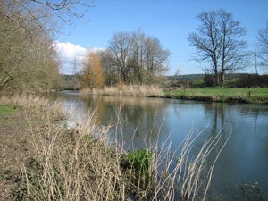 The river in fine trim