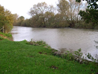 The Thames at Wolvercote