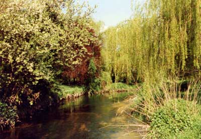 Seacourt Stream