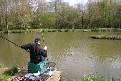 Landing a carp