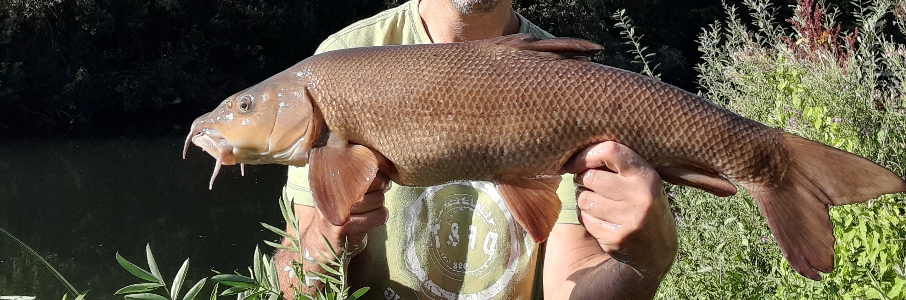 Barbel.jpg