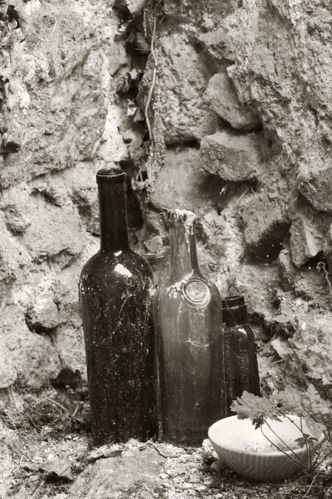 Brocante Bottles Sepia.jpg