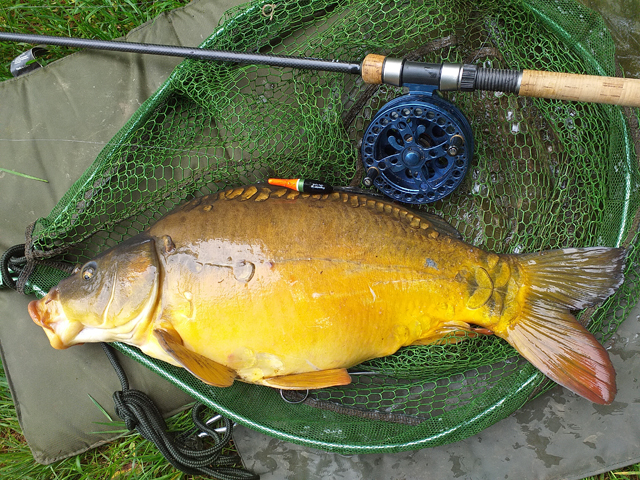 Chaillac Carp 11lb.jpg