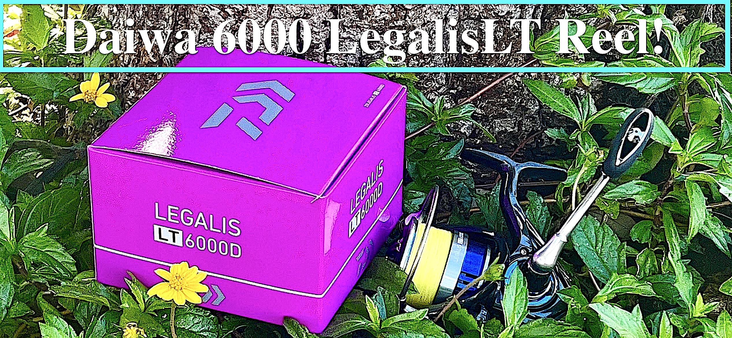 Daiwa Legalis LT 6000D