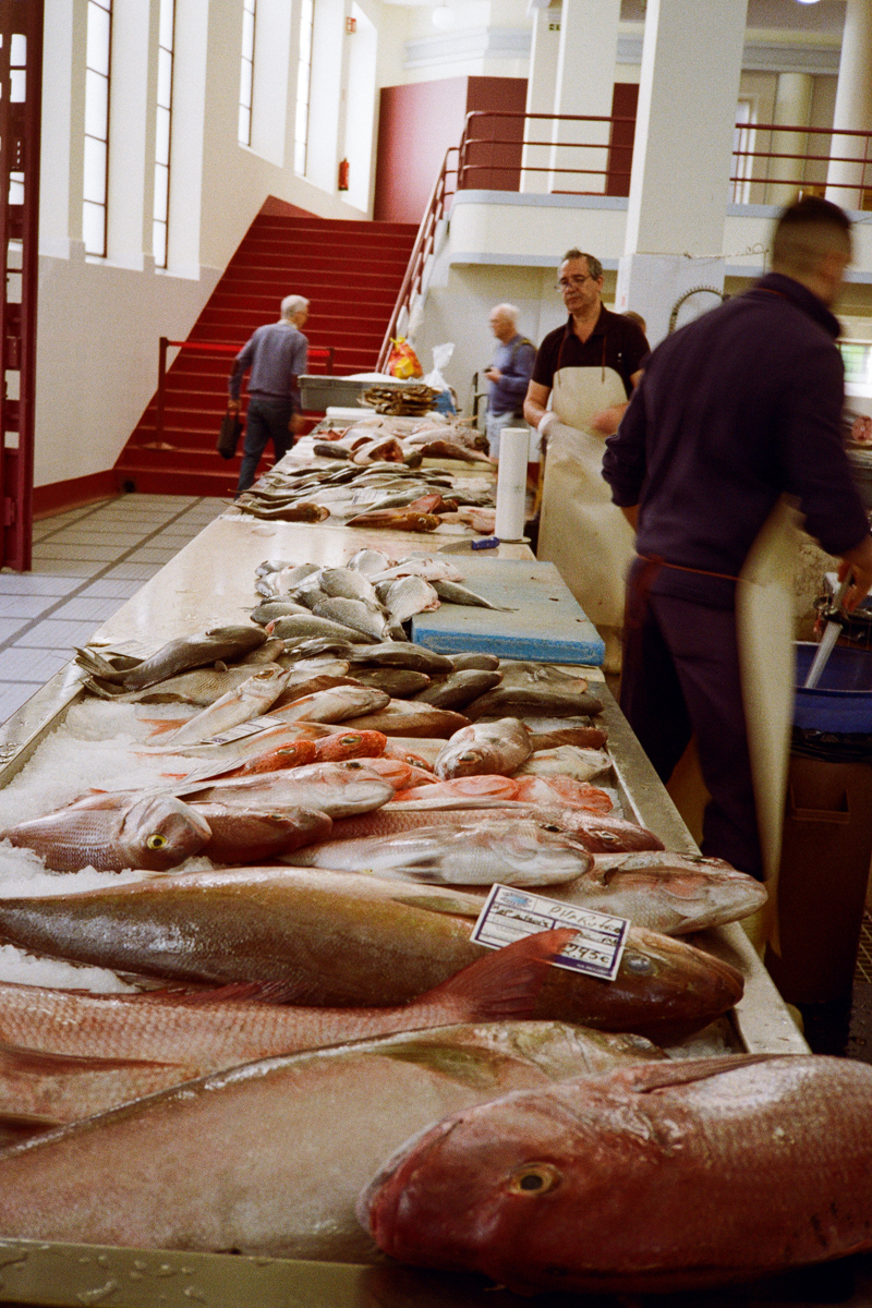 Funchall Fish Market Web.jpg