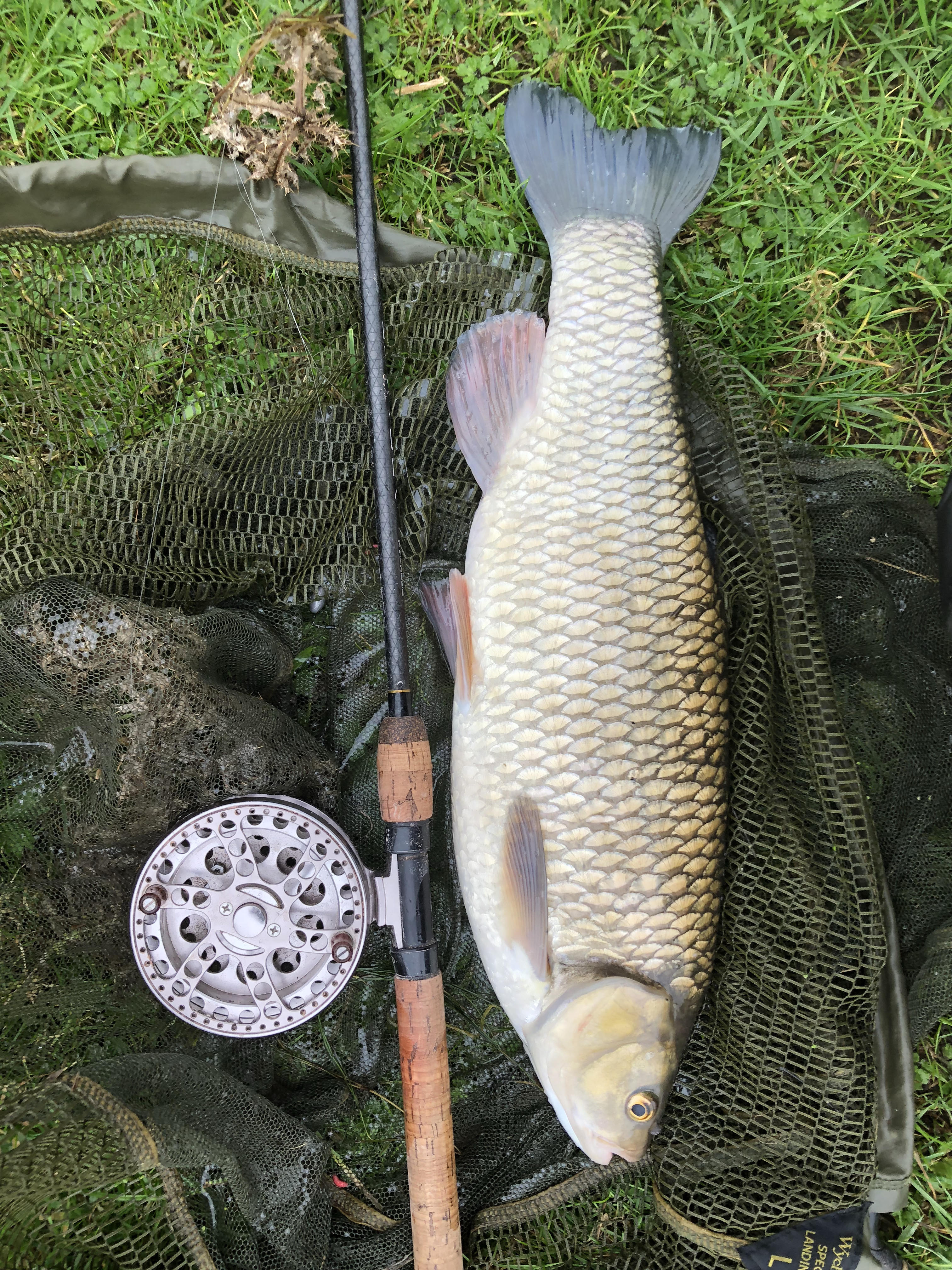 Cadence CR10 14ft #4 Match Rod – The Leviathan Tamer! - Cadence Fishing  Blog - Coarse Fishing Articles