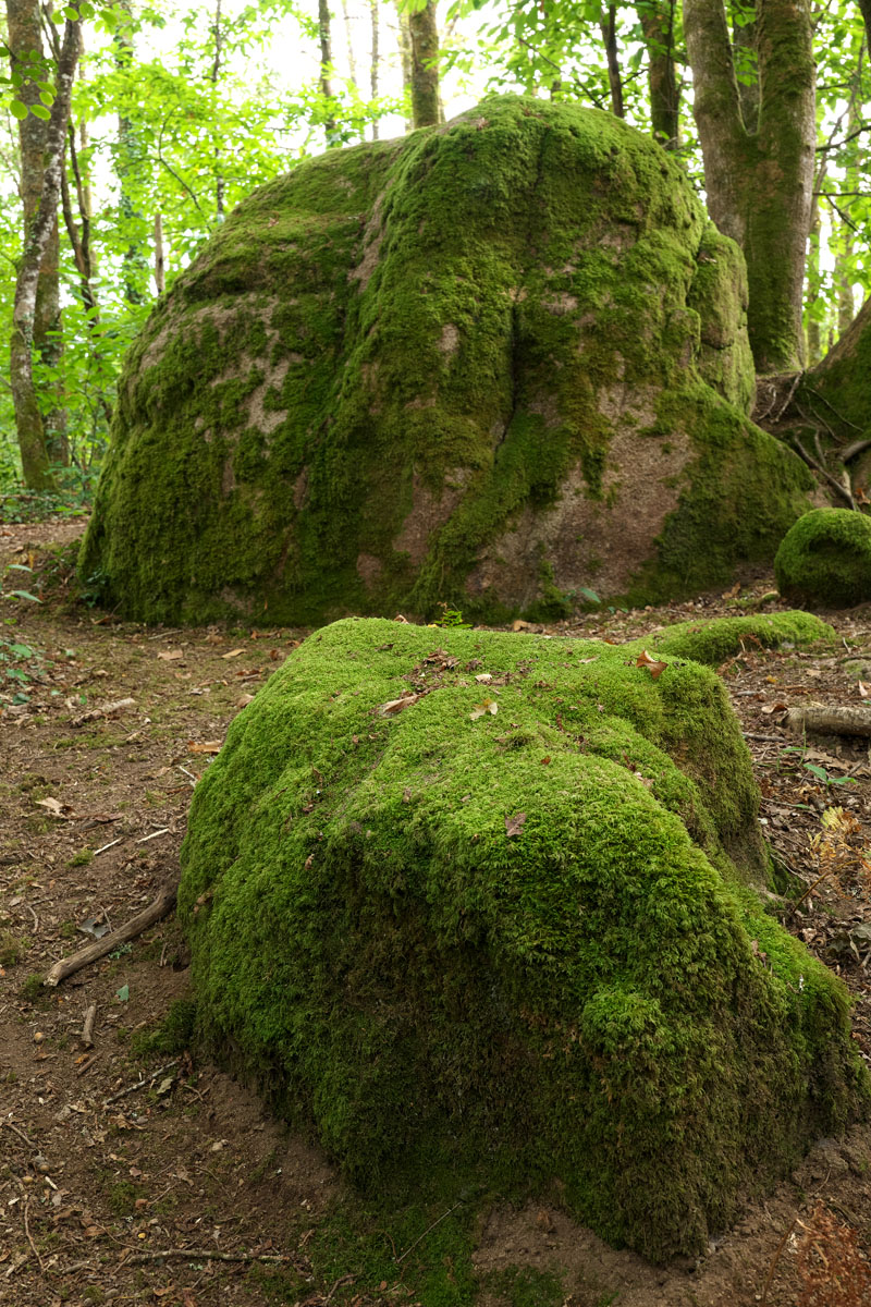 Le Roche des fèes.jpg