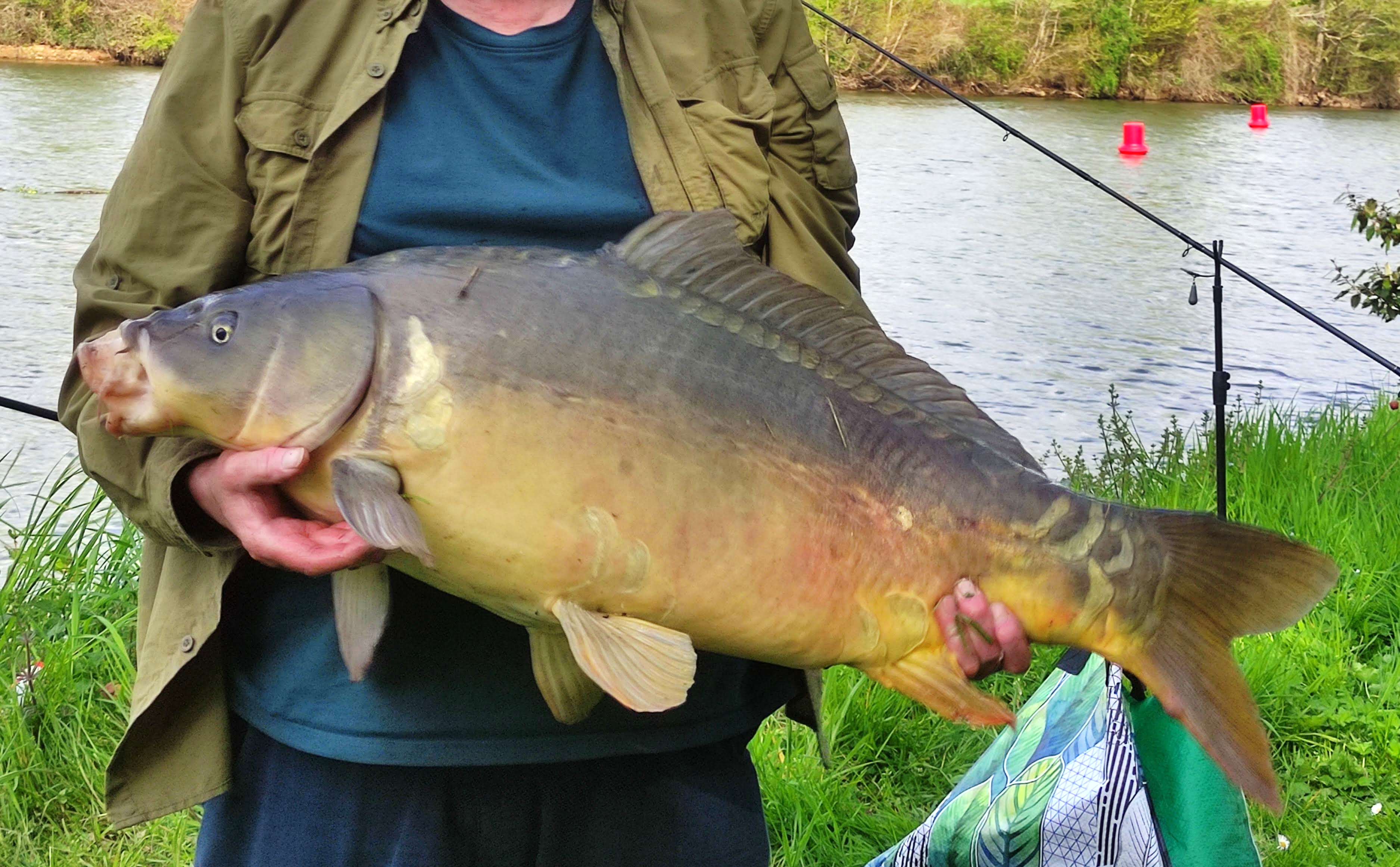 Livinhac carp 35.jpg