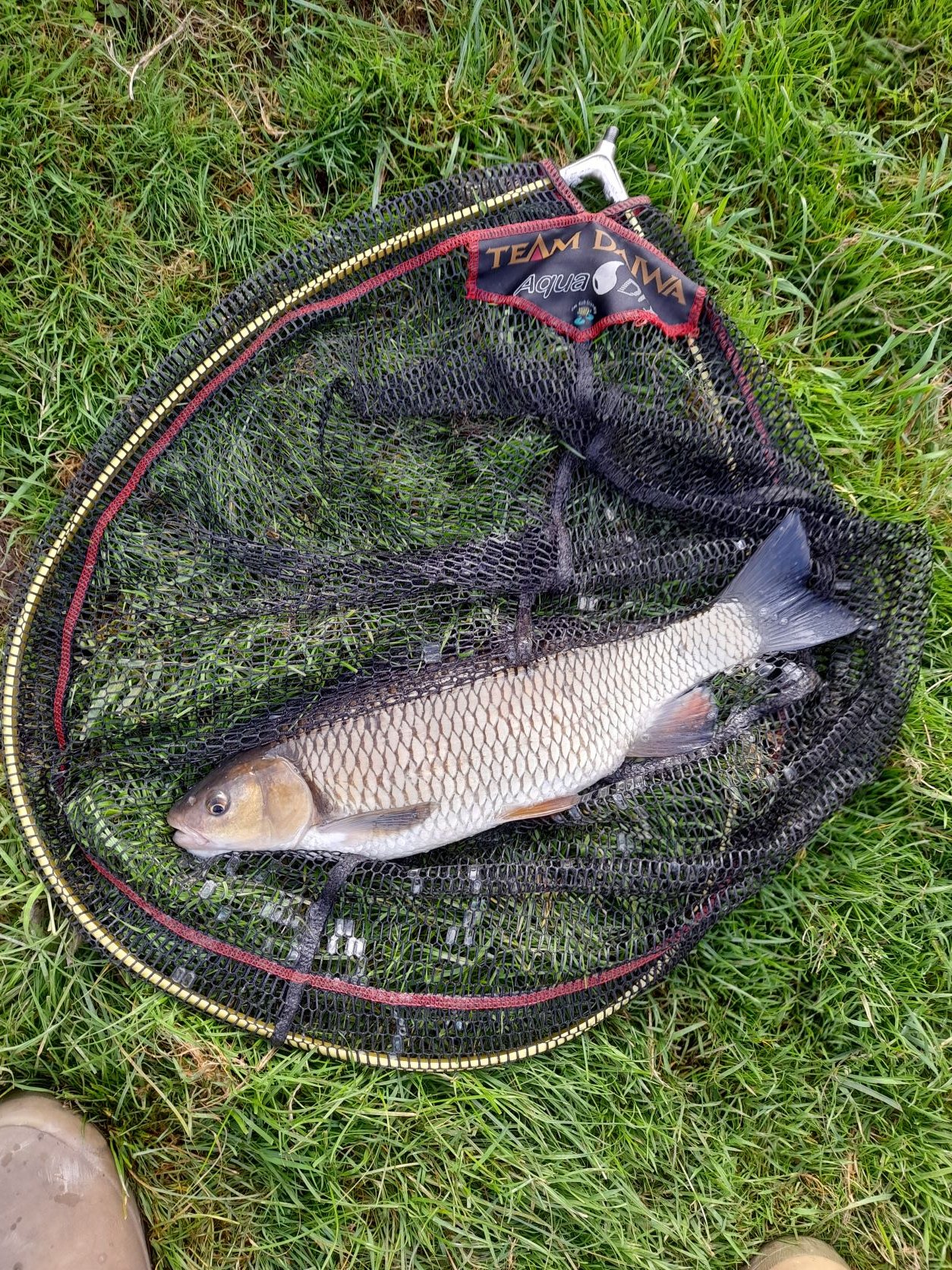 Wye22Chub3.jpg