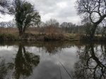 Tench Pond 18 03 30.jpg