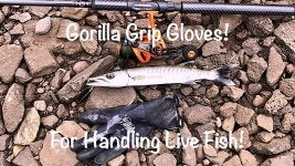 Gorilla Grip Gloves-1.jpg