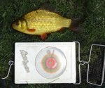 edmonsham crucian DSC00026.jpg