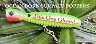 Ocean Born Surface Popping Lures!  FishingMagic Forums - sponsored by  Thomas Turner