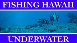 Cover- Fishing Hawaii Underwater copy.jpg