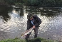 Wye Salmon from Letton Court