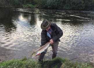 Wye Salmon from Letton Court